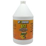 Picture of 1st Step for Energy B12 Tropical Blast 1 gallon