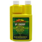 Picture of 1st Step for Energy Liquid Multivitamin & Mineral Citrus Burst 16 oz